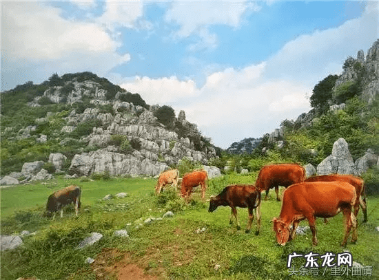 云南省宣威市龙脉风水