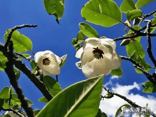 云南省宣威市龙脉风水
