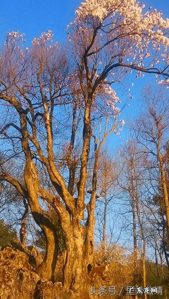 云南省宣威市龙脉风水
