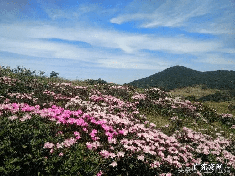 云南省宣威市龙脉风水