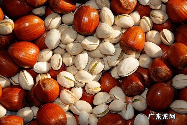 开心果代表什么意思 开心果是什么果实?