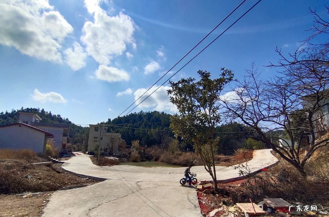 人体内环境风水学 人体内环境风水