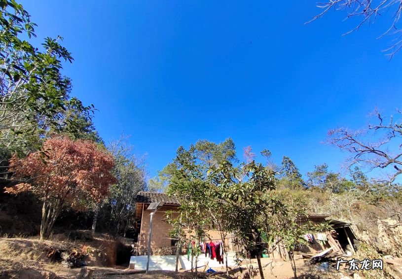 人体内环境风水学 人体内环境风水