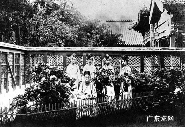 清宫气数录风水知识 清宫道长讲风水