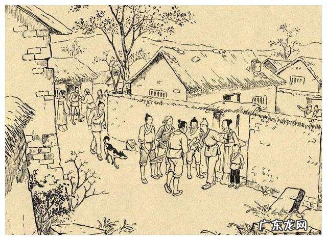 有白猫上门是什么兆头 白猫上门是什么兆头