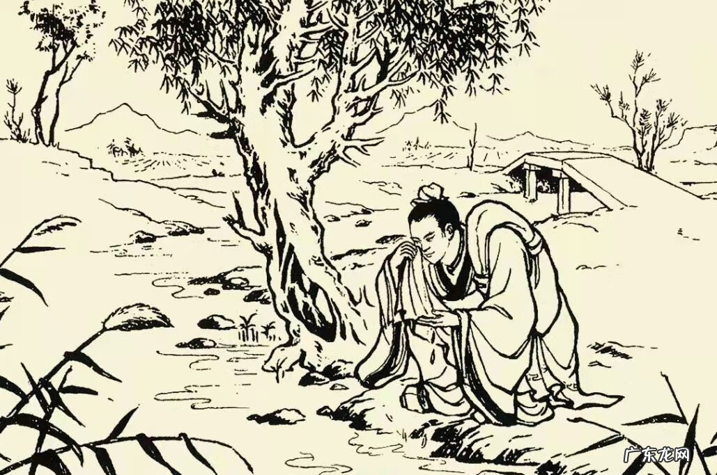 有白猫上门是什么兆头 白猫上门是什么兆头