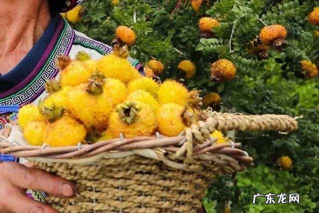 胶原蛋白每天什么时候吃效果最好 胶原蛋白一般什么时候吃最好