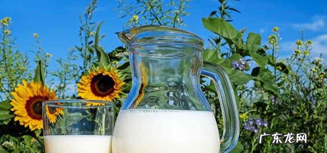 牛奶一天什么时候喝最合适 一天中什么时候喝牛奶最好