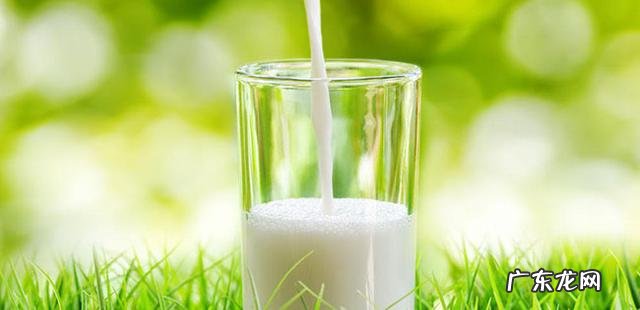 牛奶一天什么时候喝最合适 一天中什么时候喝牛奶最好