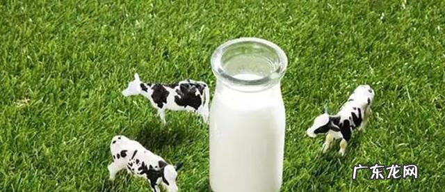 牛奶一天什么时候喝最合适 一天中什么时候喝牛奶最好