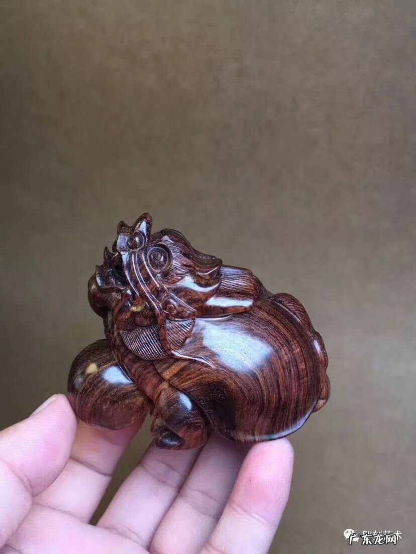 家里摆放盘子有啥寓意 风水放一对龟对着盘子