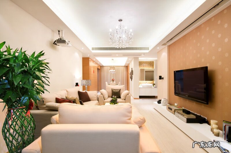 好看的紫色梅花图片 进门见紫色梅花画风水好吗