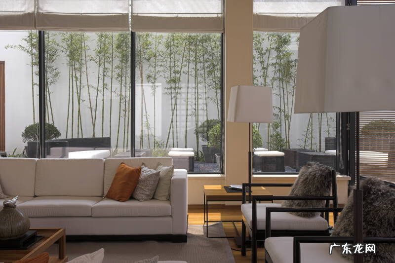 好看的紫色梅花图片 进门见紫色梅花画风水好吗