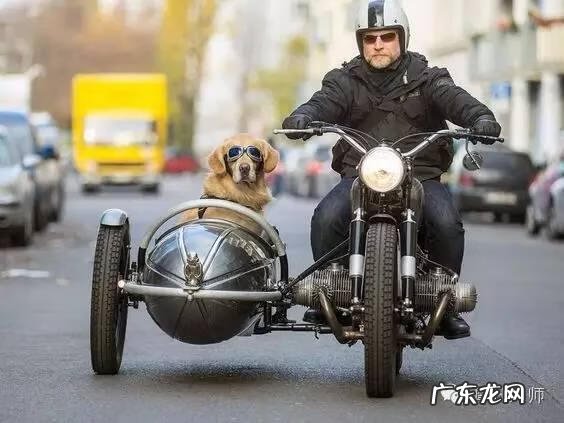 摩托范 摩托大师官网