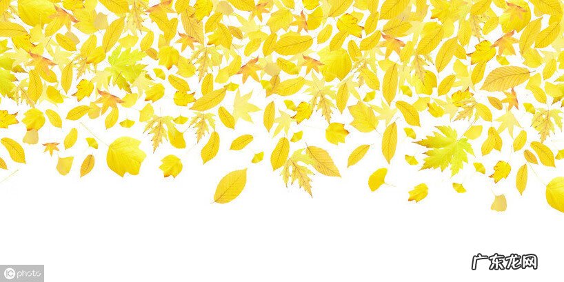 胆红素高的原因及危害 总胆红素高是怎么回事有什么危害