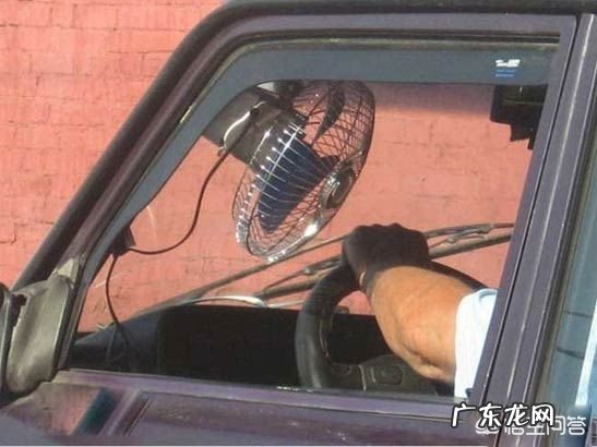 爆笑的笑话有哪些?