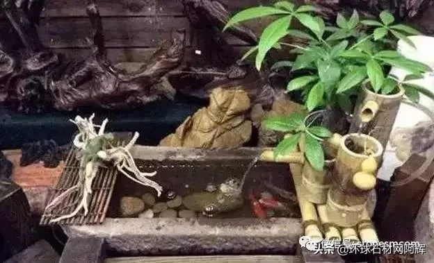 青石在风水上有什么作用 青石在风水上的作用