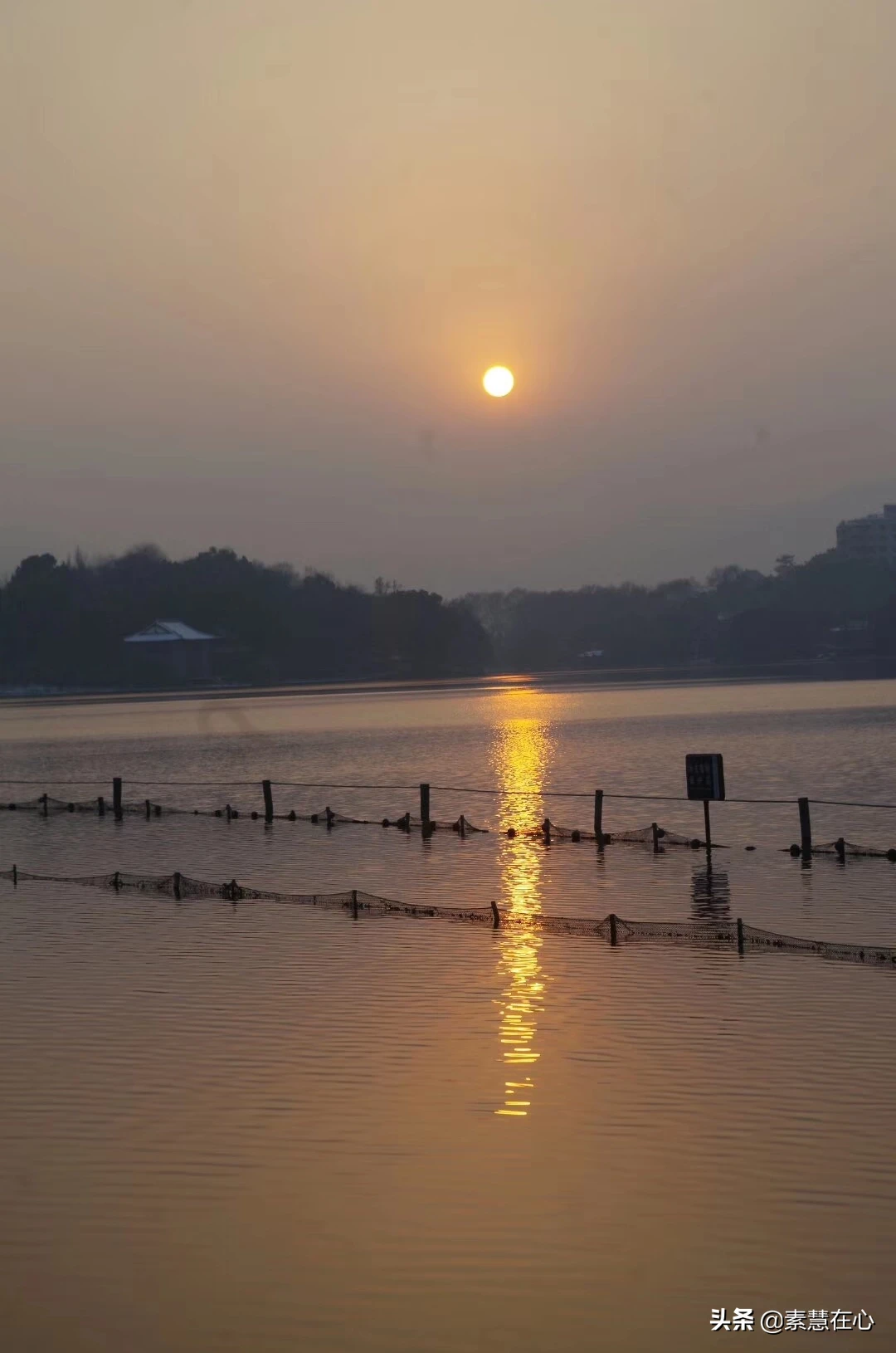 夜里想念一个人的诗?