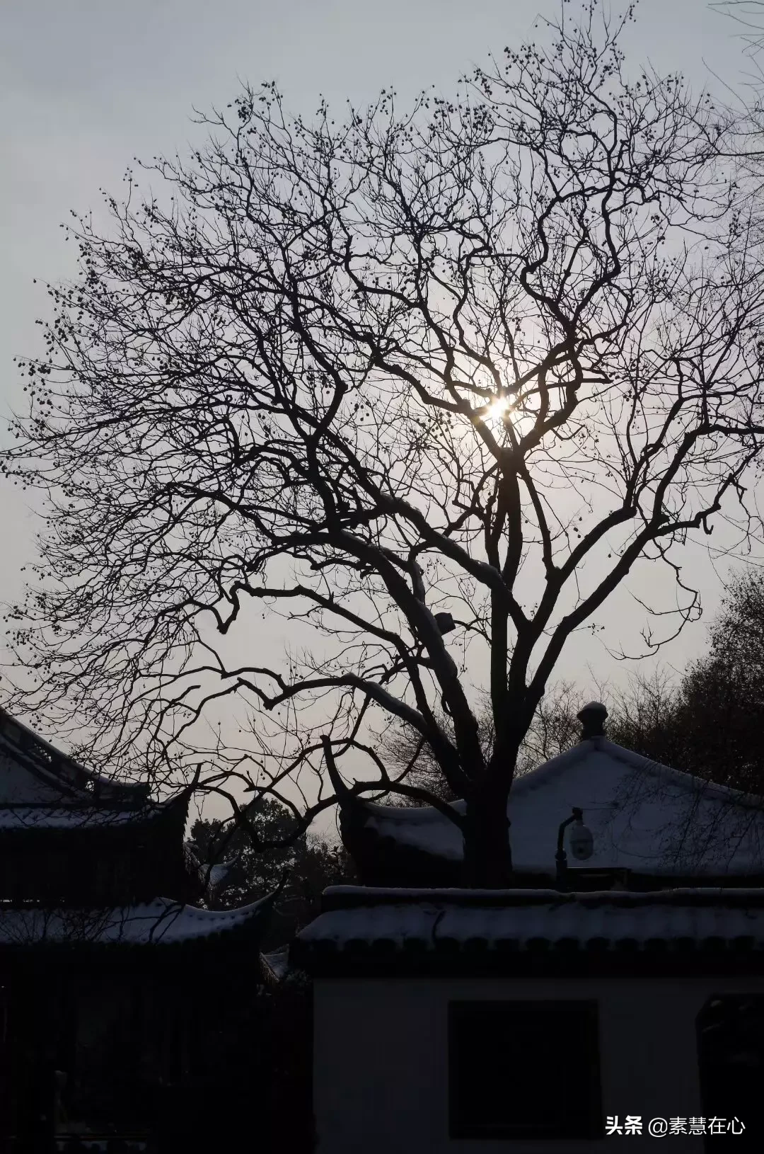 夜里想念一个人的诗?