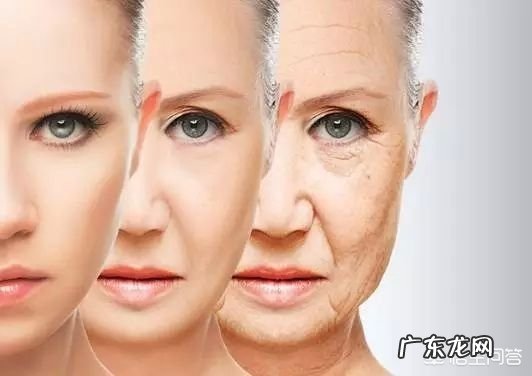 多吃富含胶原蛋白的食物真的可以美容吗?