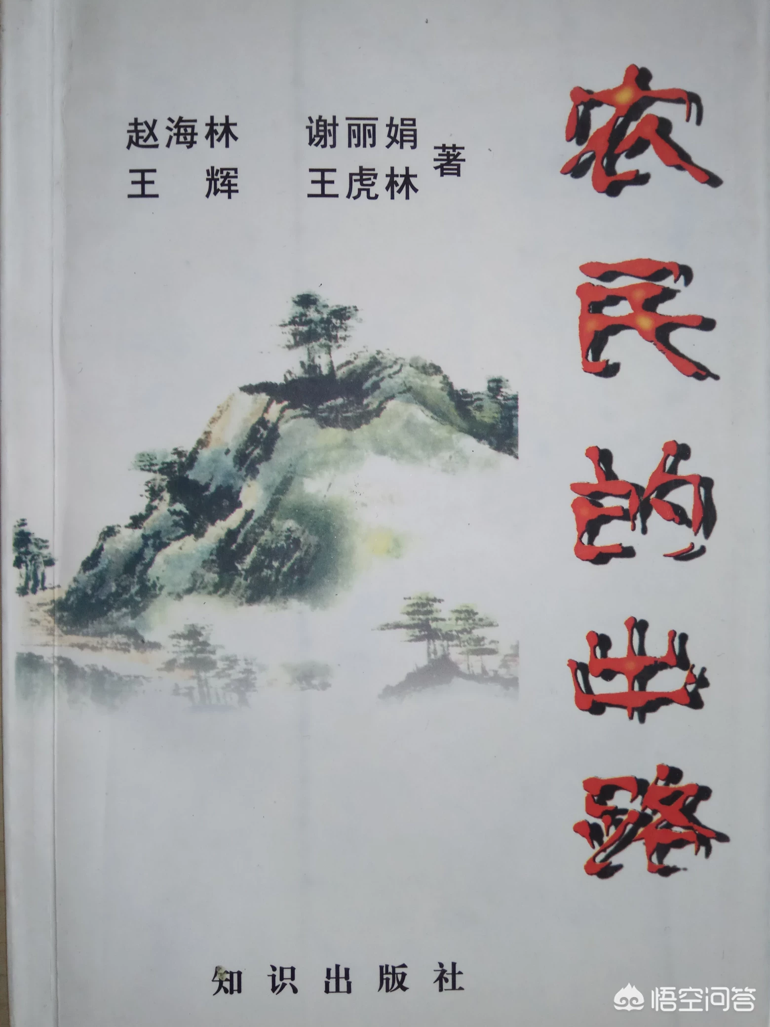 作为一名大学生村官，虽然想法很多，可是总感觉心有余而力不足，我该怎么办？