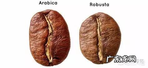 有关咖啡的知识？