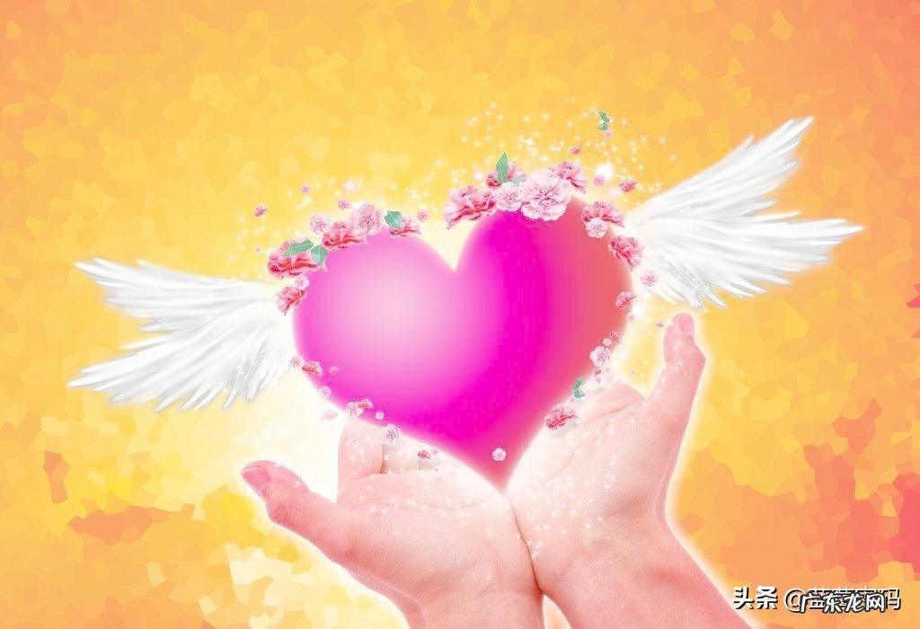 爱的价值是什么啊?