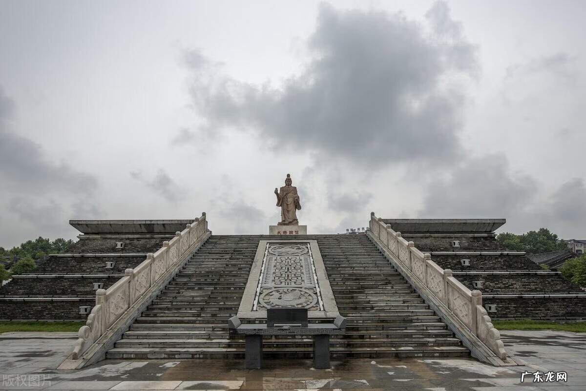 因变量的类型 因变量