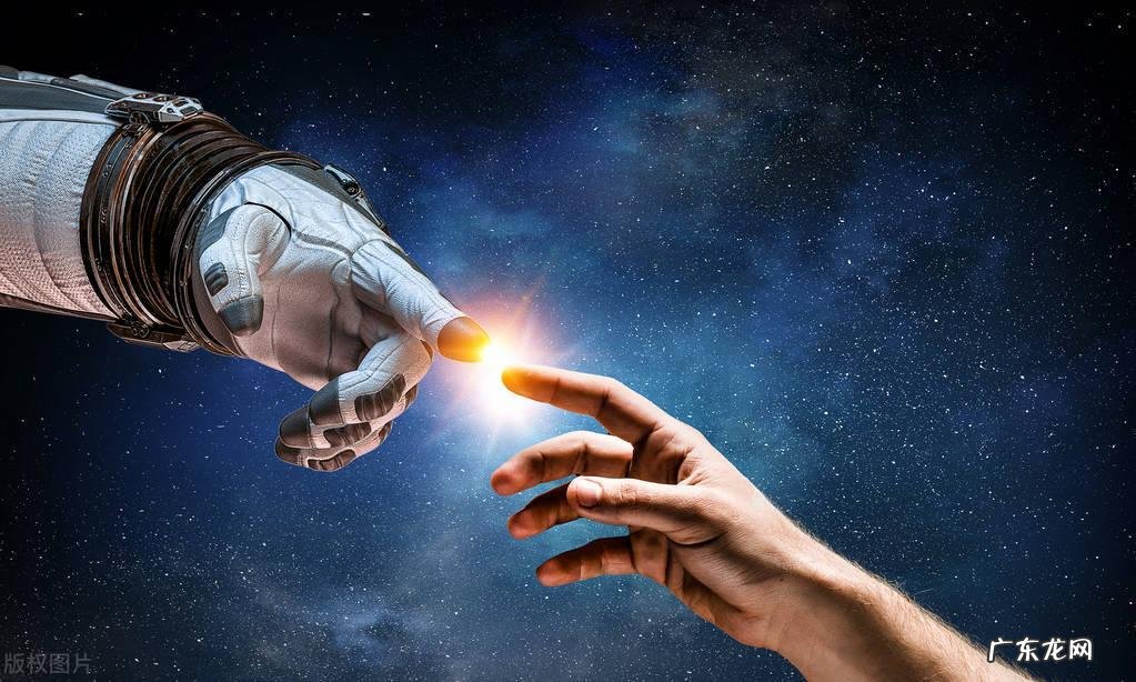 因变量的类型 因变量