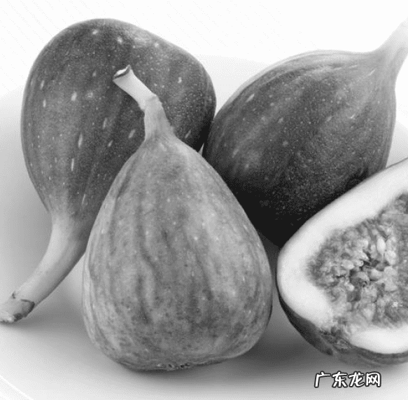 无花果治痔疮的方法 无花果怎样治痔疮v