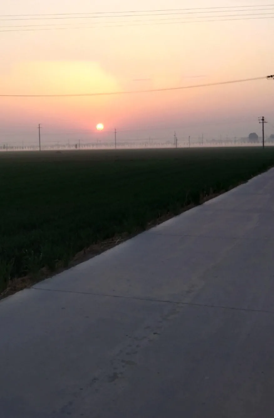 每天跑步30分钟一个月能减多少?