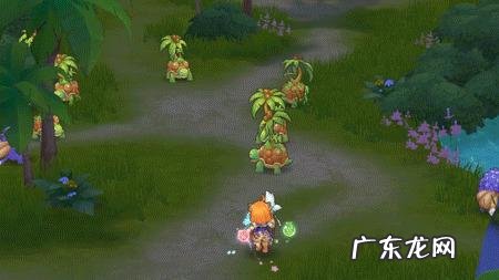 彩虹岛转职等级 2022彩虹岛转职