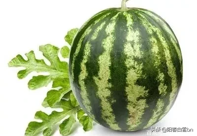 人体的六大营养素有哪些？