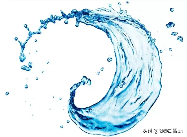 人体的六大营养素有哪些？