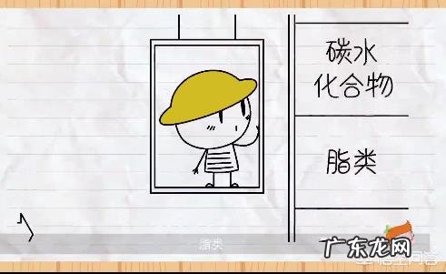 人体的六大营养素有哪些？