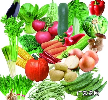 人体的六大营养素有哪些？