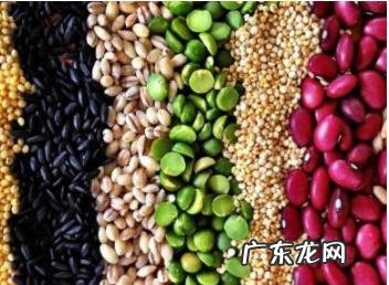 人体的六大营养素有哪些？