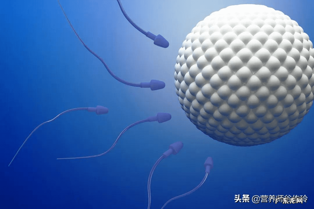 精可以吃吗 男人的精子能吃吗