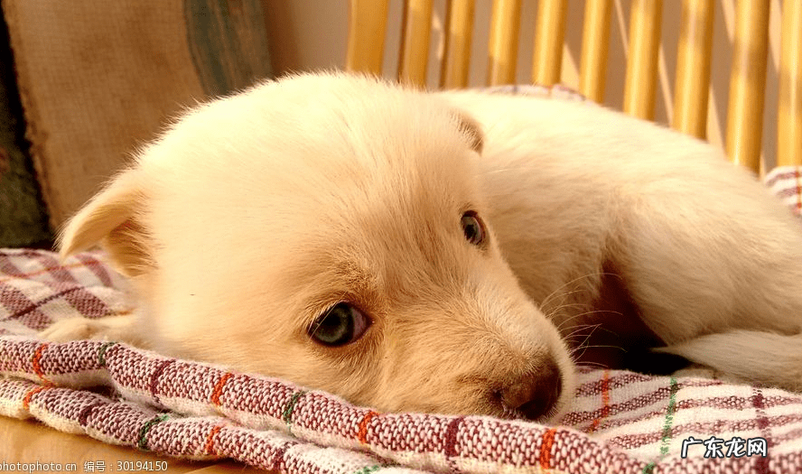 四个半月宝宝拉稀怎么办 4个月宝宝拉稀便