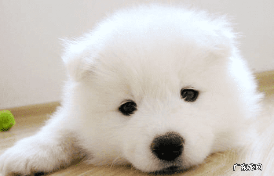 四个半月宝宝拉稀怎么办 4个月宝宝拉稀便