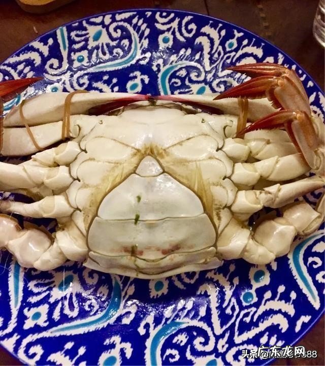 煮螃蟹是热水下锅还是冷水下锅?