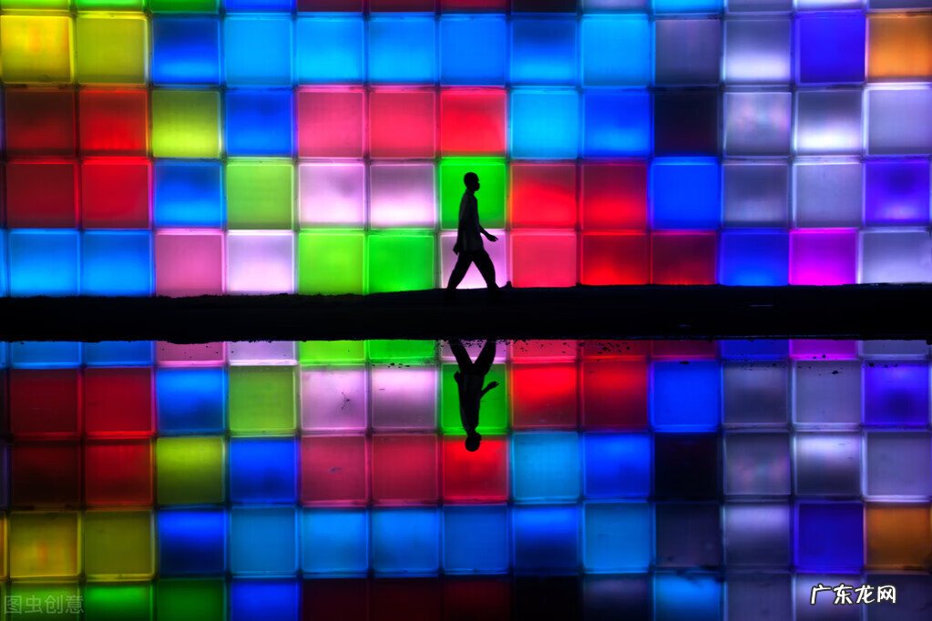 梦见四脚蛇进家里是什么预兆 梦见黑蛇进家是什么预兆