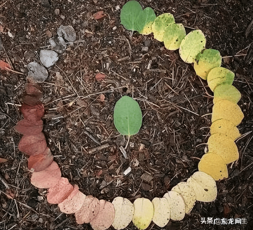 风水常识500个 风水小知识500条