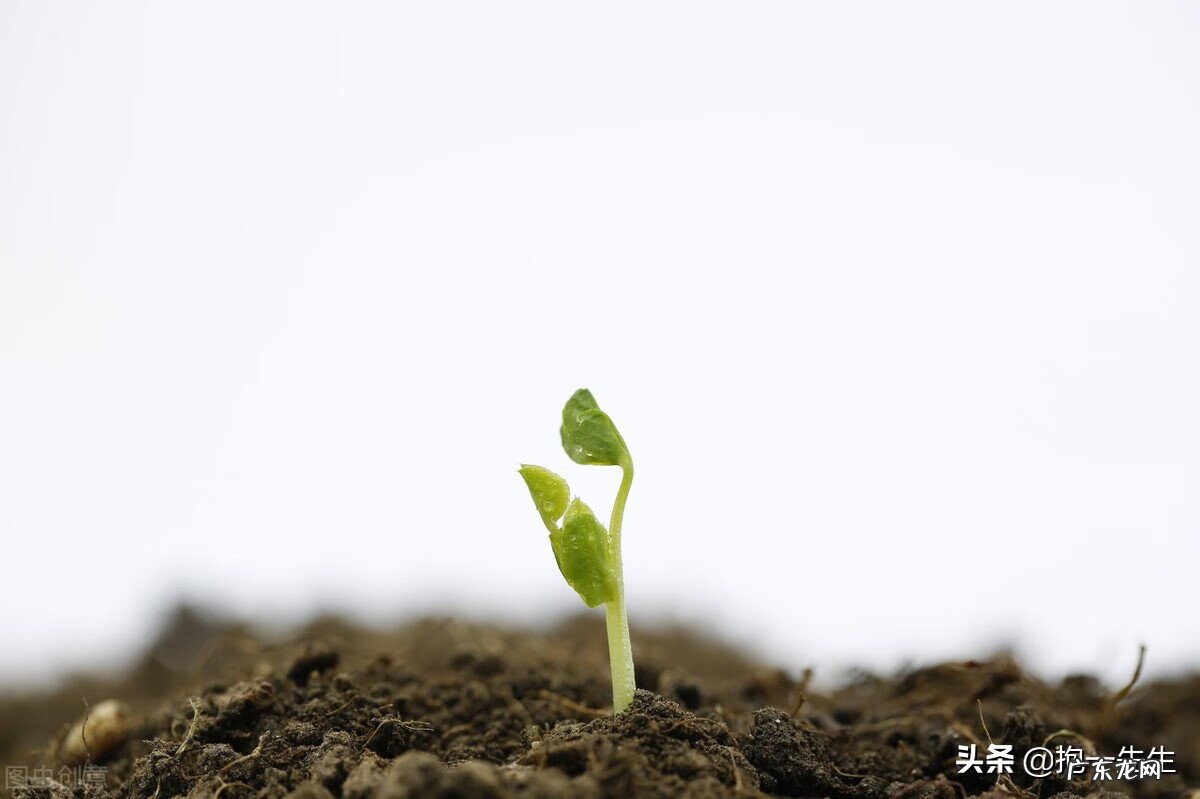 风水常识500个 风水小知识500条