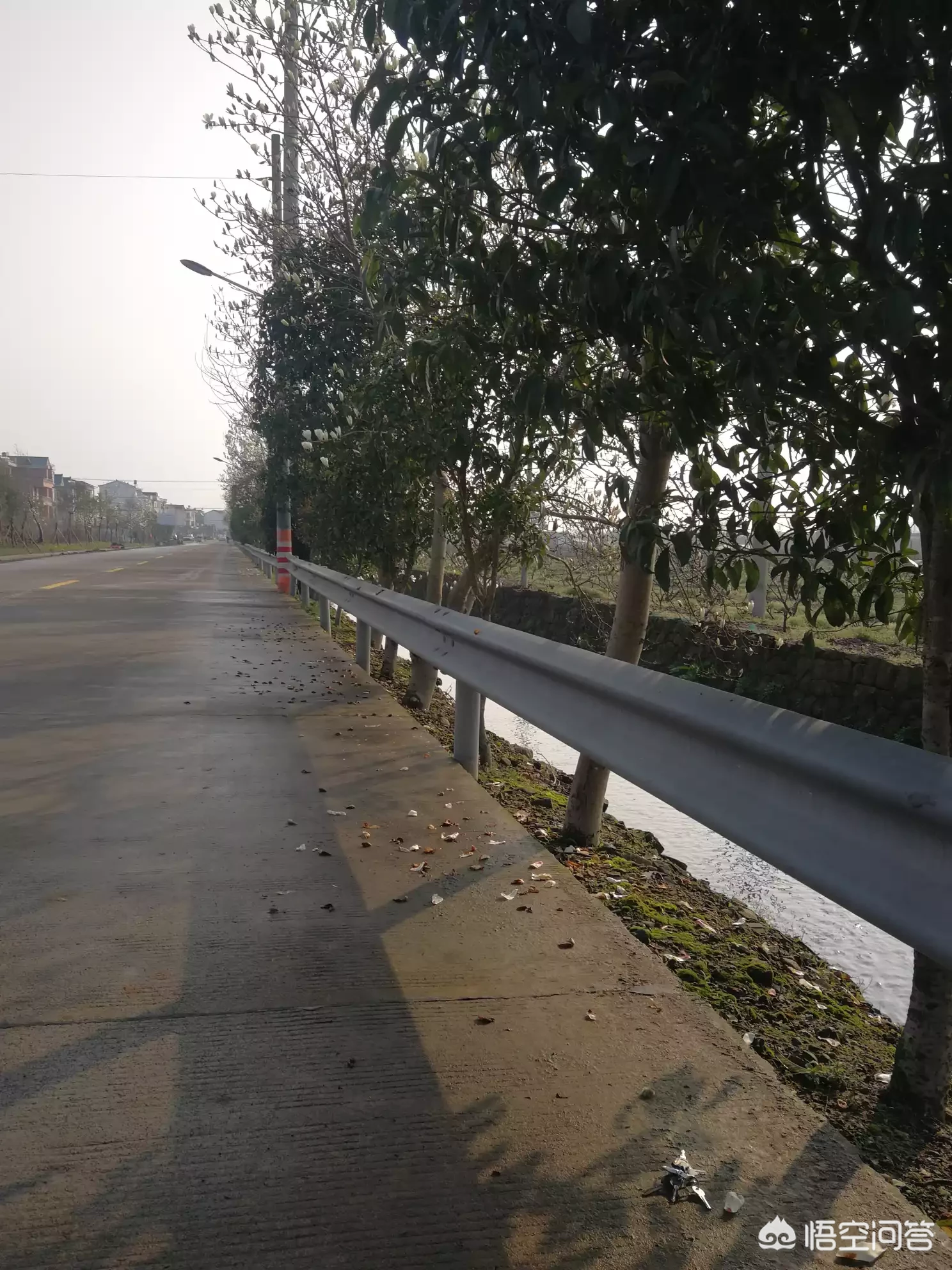 春天人为什么那么有激情，那么有冲动？