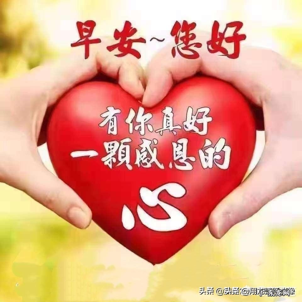 有适合做微信头像的图片推荐吗？