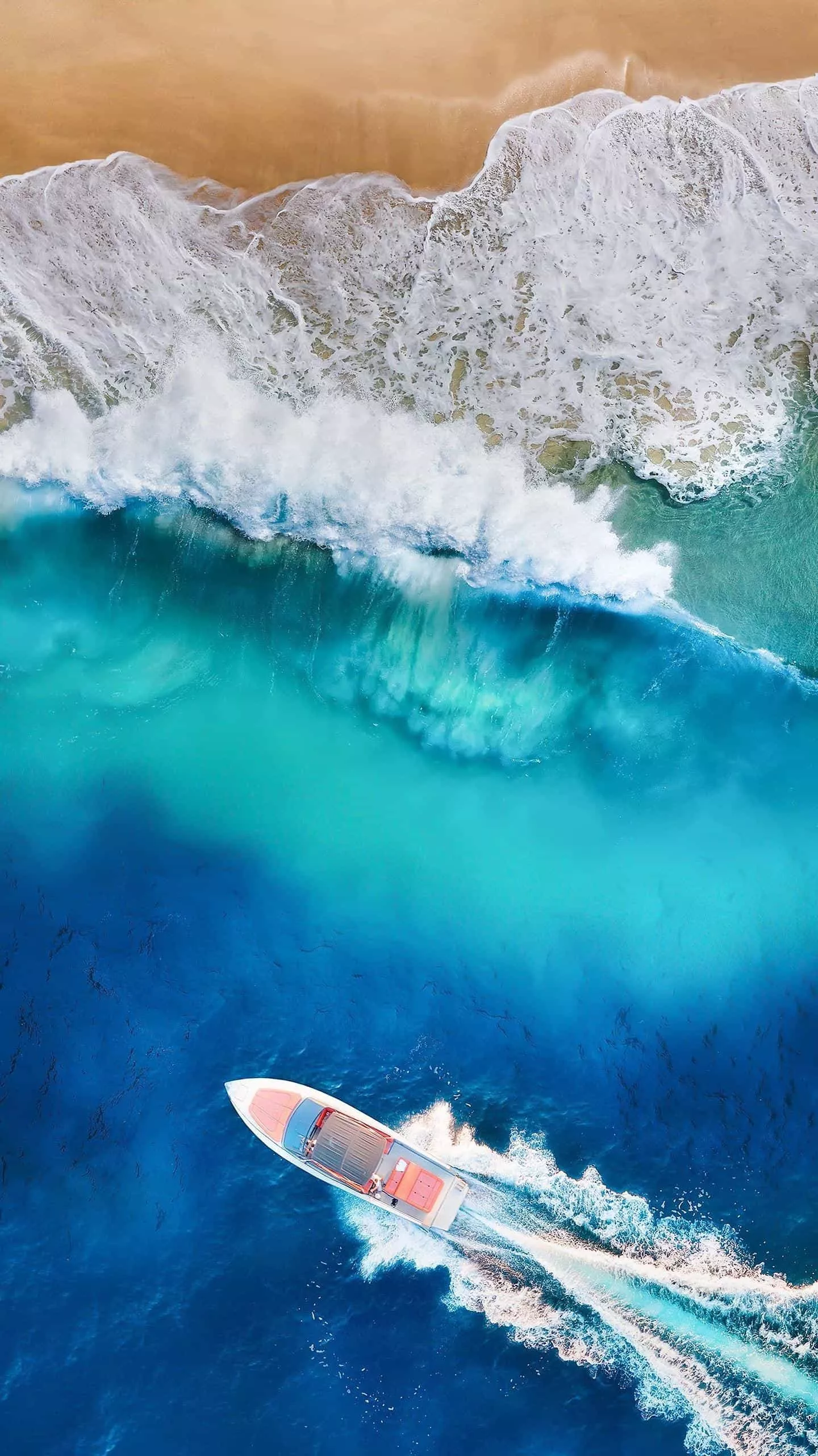 猪的生命意义是什么？猪被杀时，是否埋怨它的父母，把它生出来？