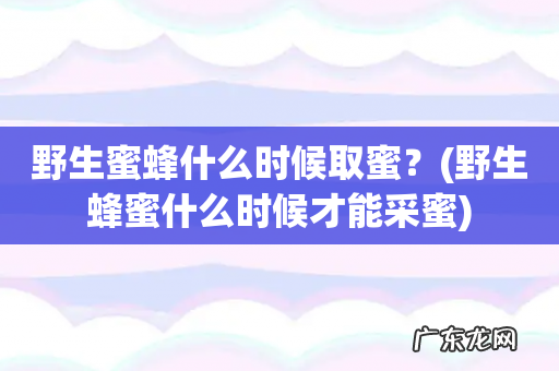 野生蜂蜜什么时候才能采蜜 野生蜜蜂什么时候取蜜?
