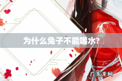 为什么兔子不能喝水?