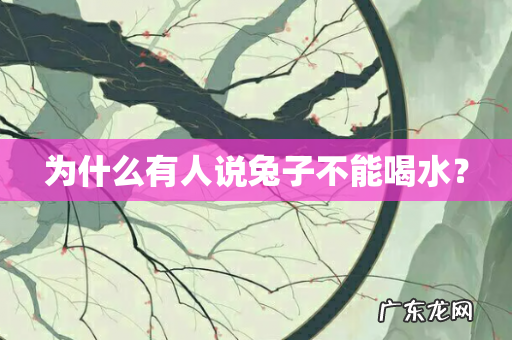 为什么有人说兔子不能喝水?